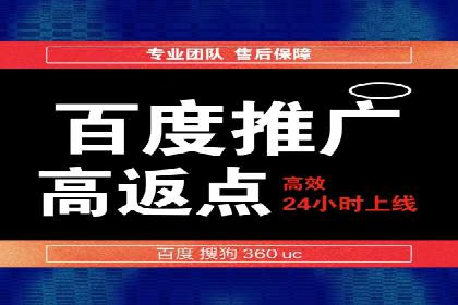 百度SEO推广公司经典之作：打造行业领先品牌